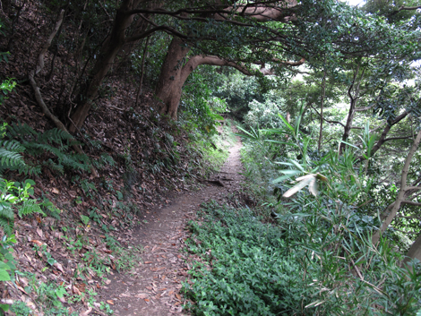 20150924hike (64)